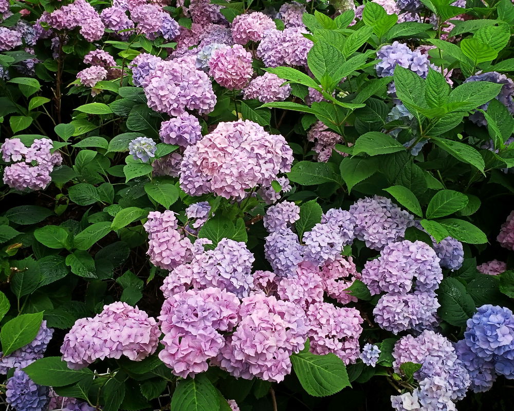 Summer color mix 📷🙂
27/07/25