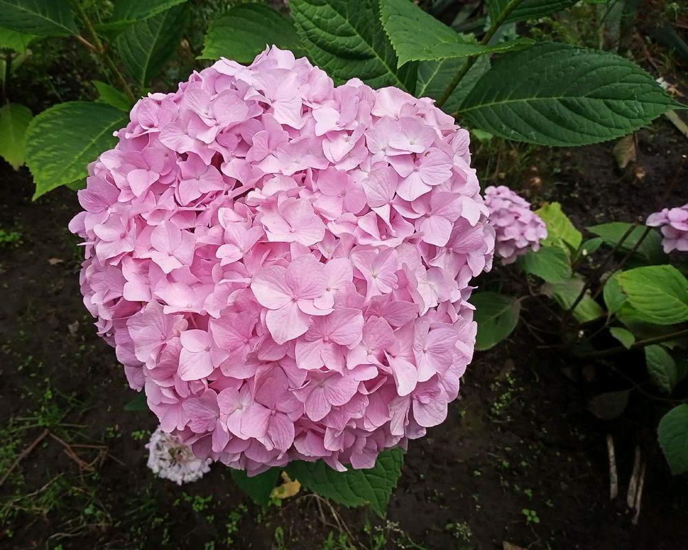 Summer color mix 📷🙂
27/07/25