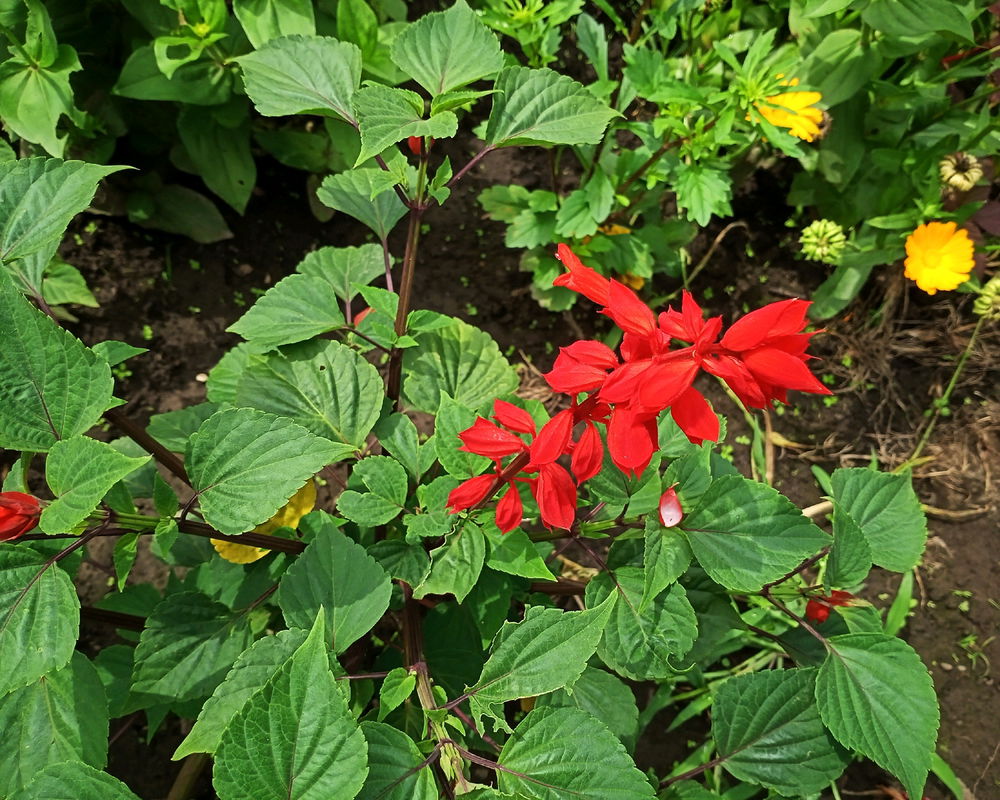 Summer color mix 📷🙂
27/07/25