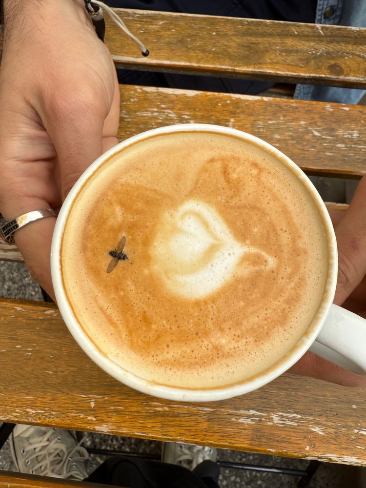 lovebombing