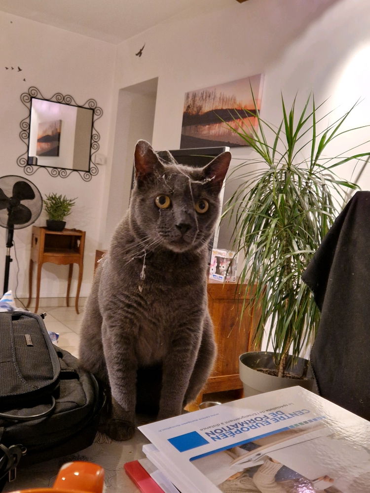 La poussière sais fait ^^