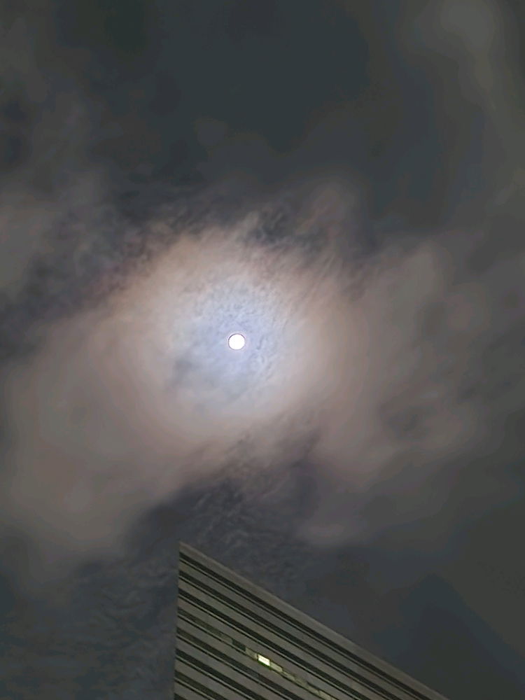Same photos but taken at slightly different angles ~