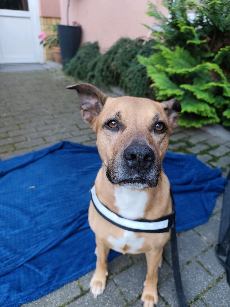 Amy🥰