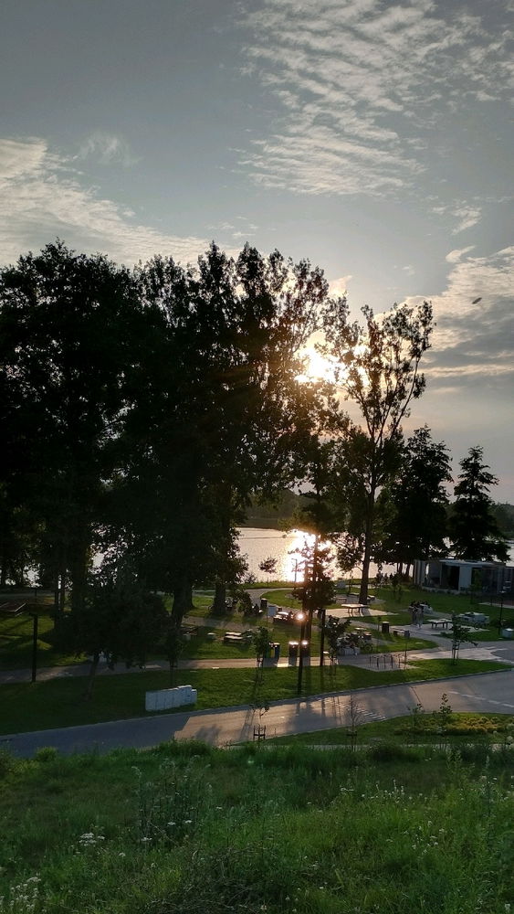 Widokówka
