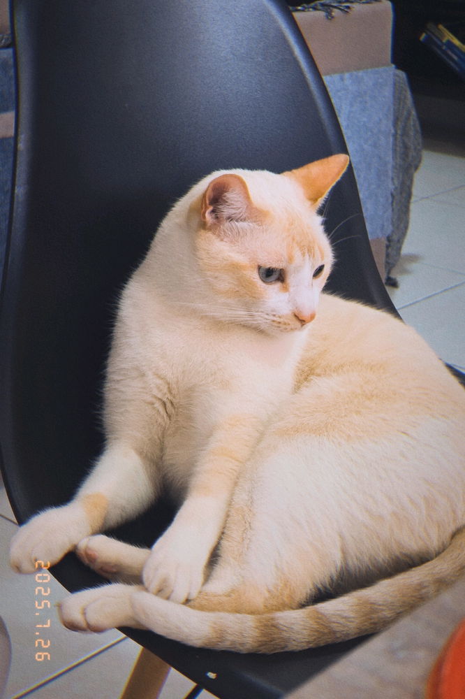 Companhia no Clube do Livro desse
mês