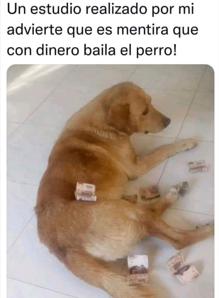 Humor