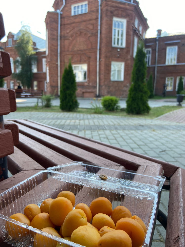 Прогулка по городу