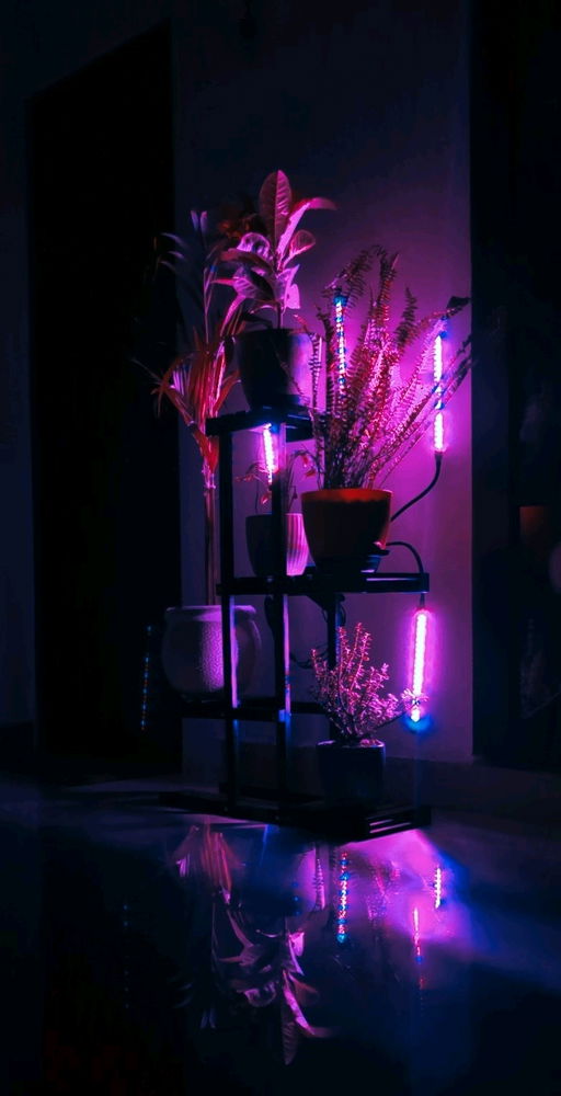 My Mini Garden ☘️
