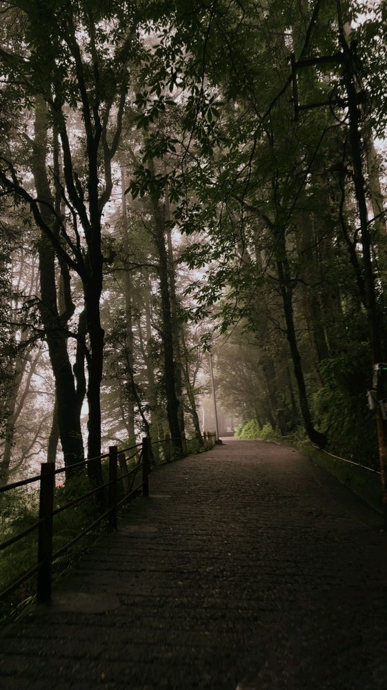 Rate it (I clicked this)