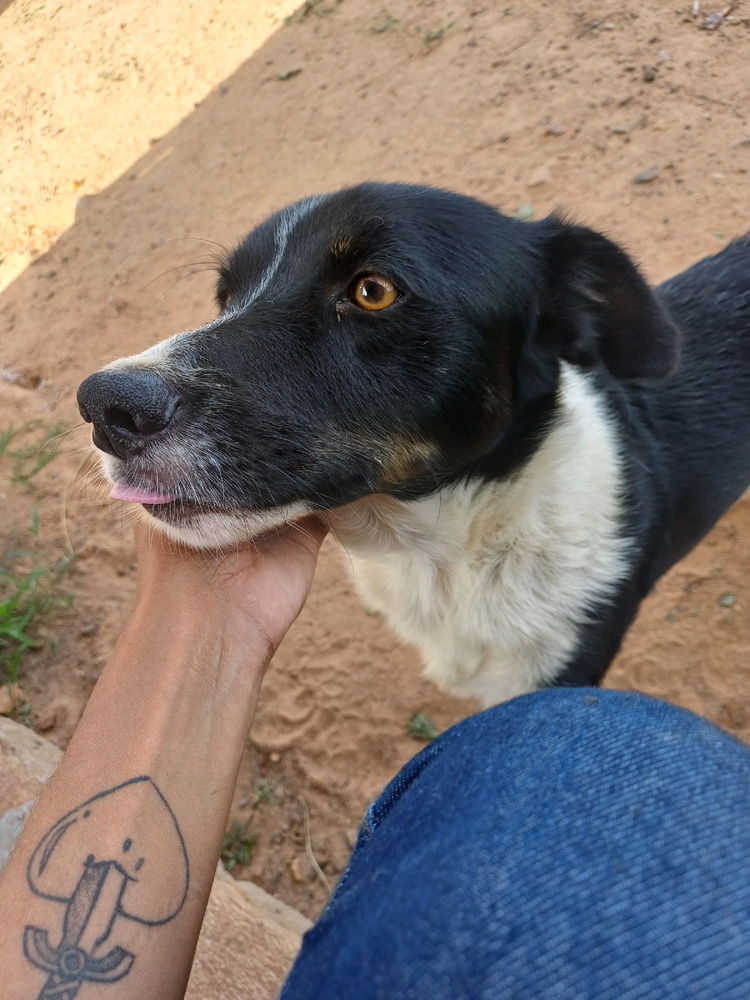 Tupã 🖤