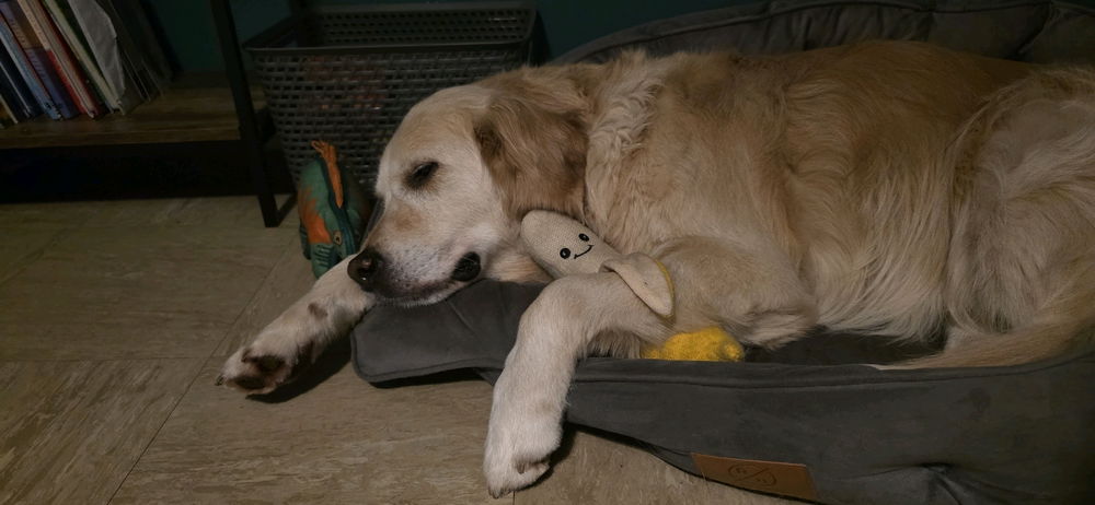 Cuddles