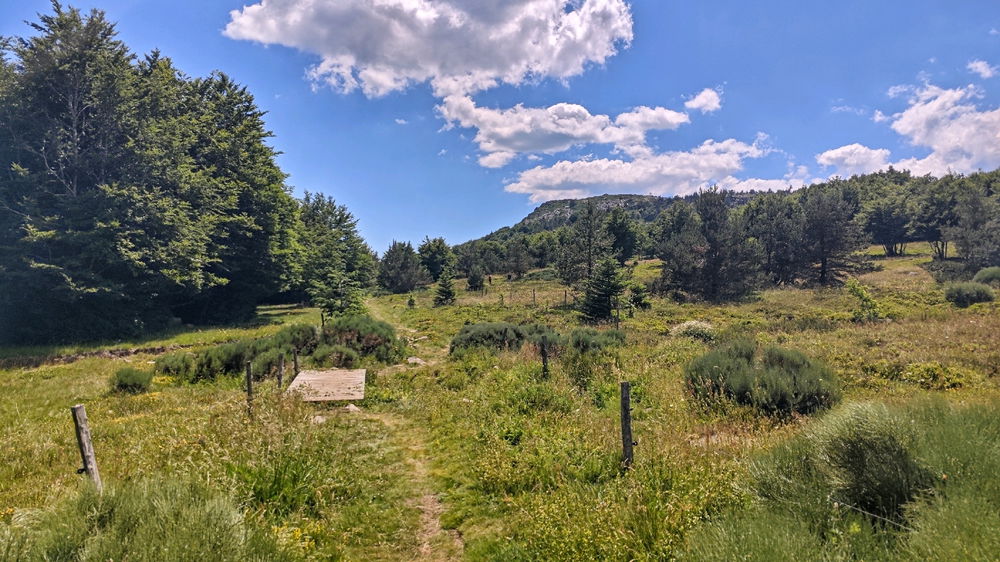 Balade prêt du Gerbier de Jonc en Ardèche 😊