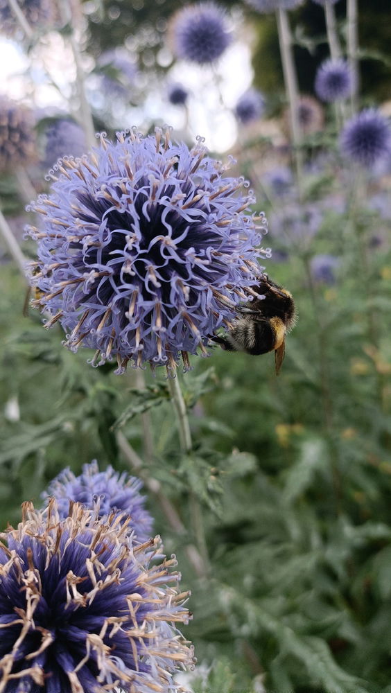 Petite visite de la nature