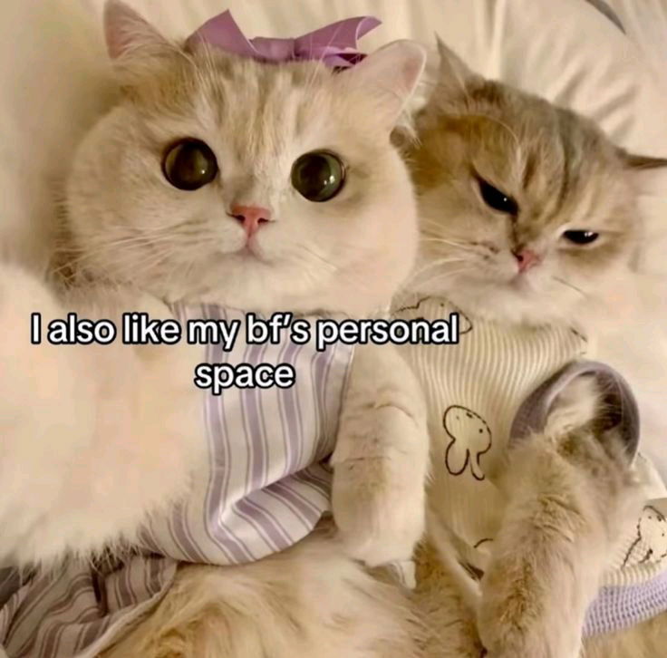 🤭