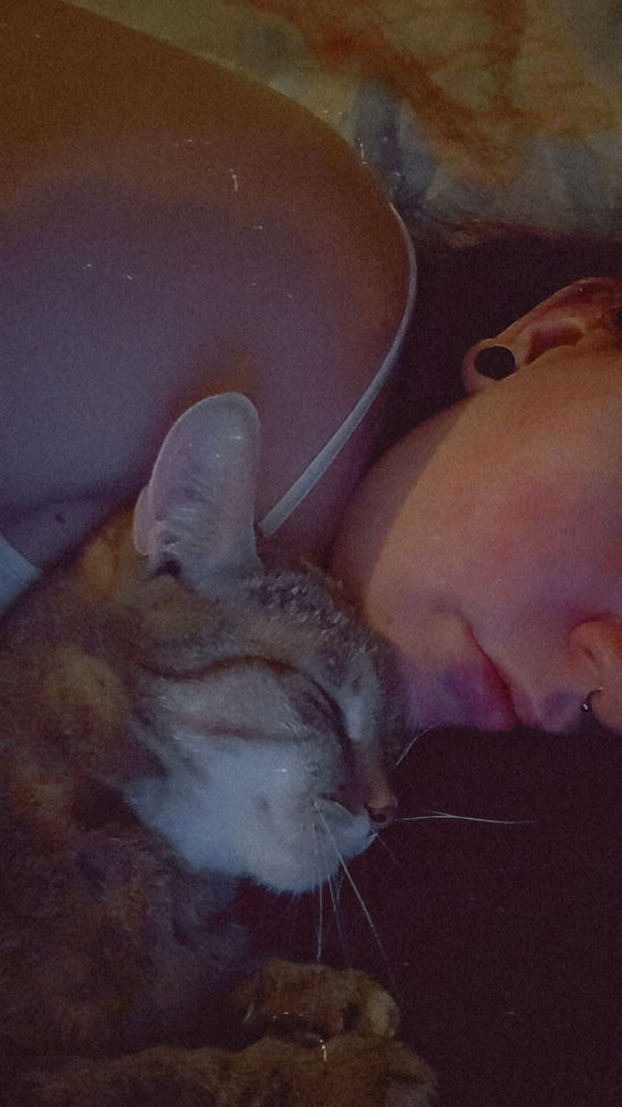 Cuddlezzz~
