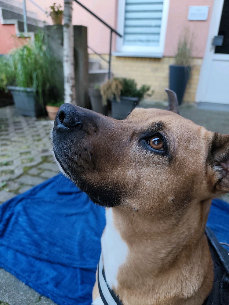 Amy🥰