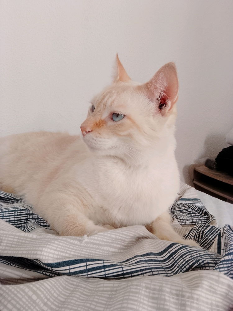 My precious