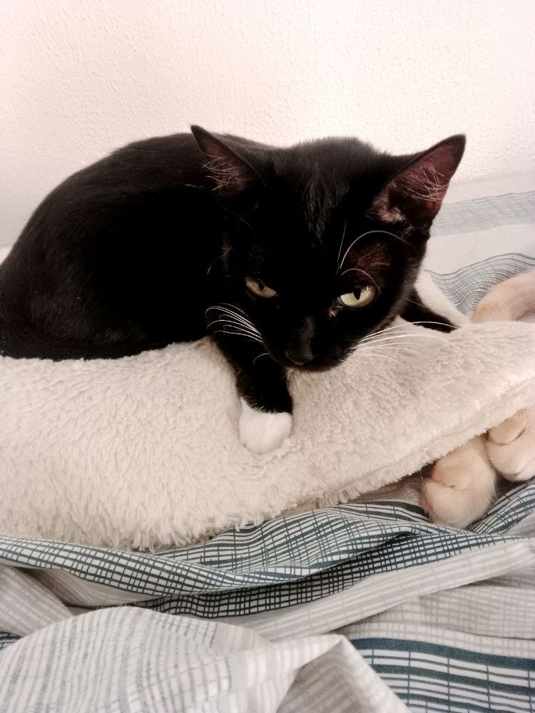 My precious