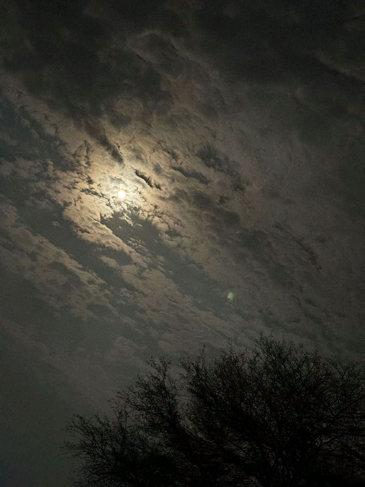 "Moonlight piercing through the clouds, whispering secrets to the silent trees." 🌙✨🌲