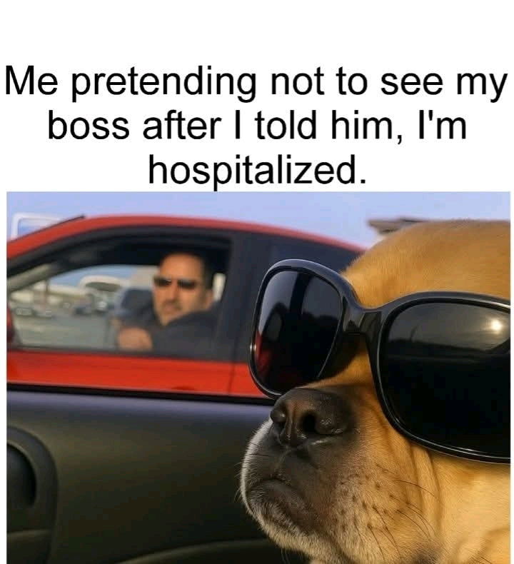 Lmao 🤣🤣🤣