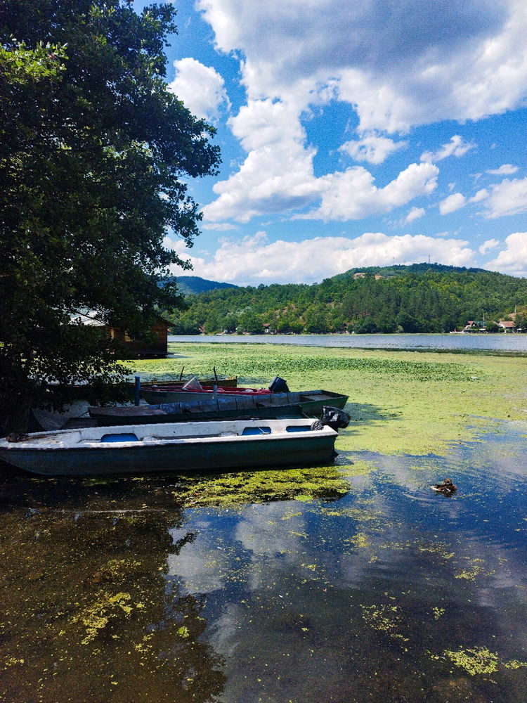 ☀️🌊🌲✌🏼