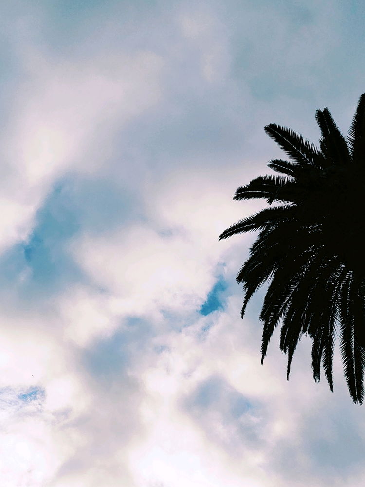 Clouds