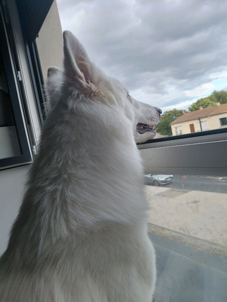 Bébé pépère