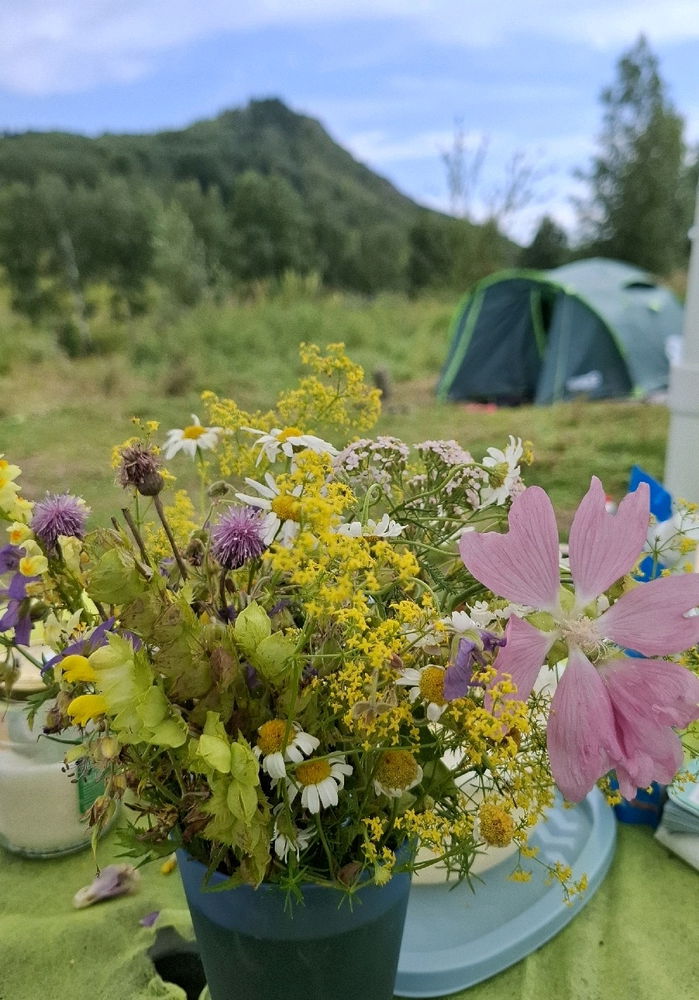 В горы за вдохновением)