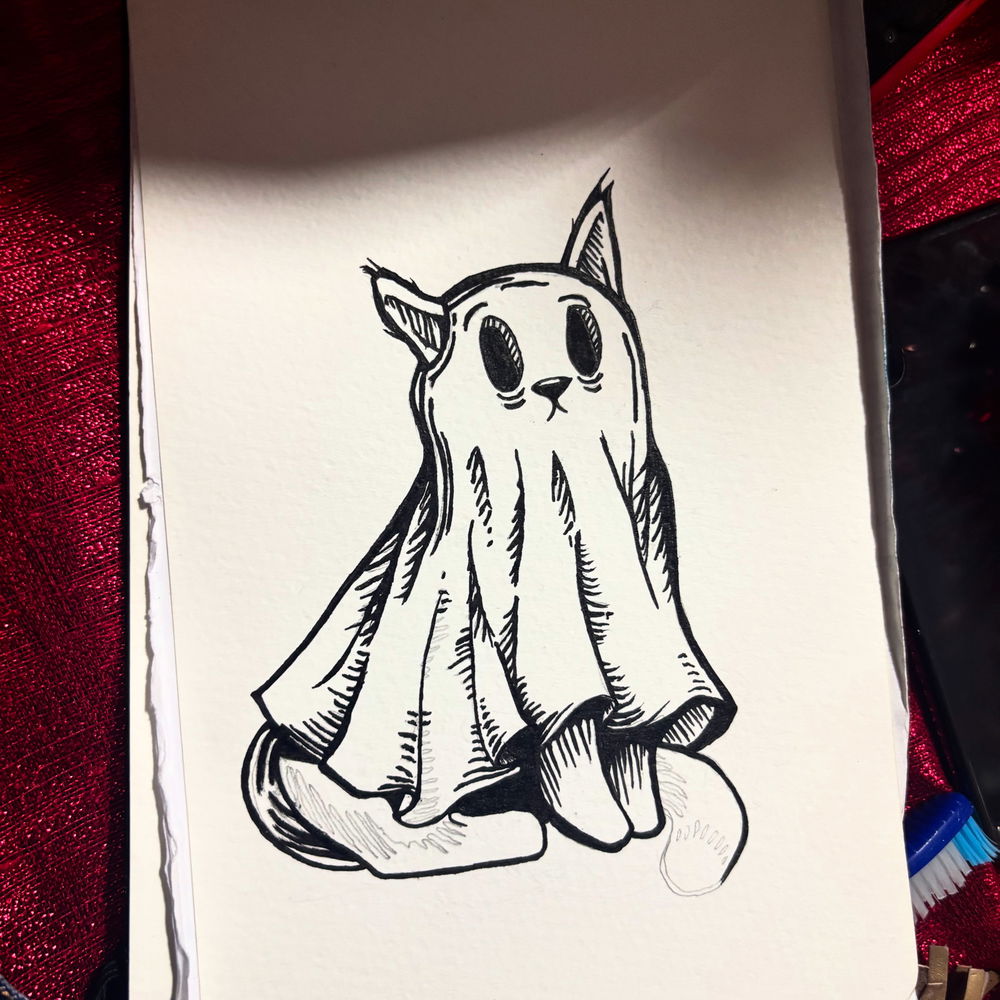 Gato fantasma