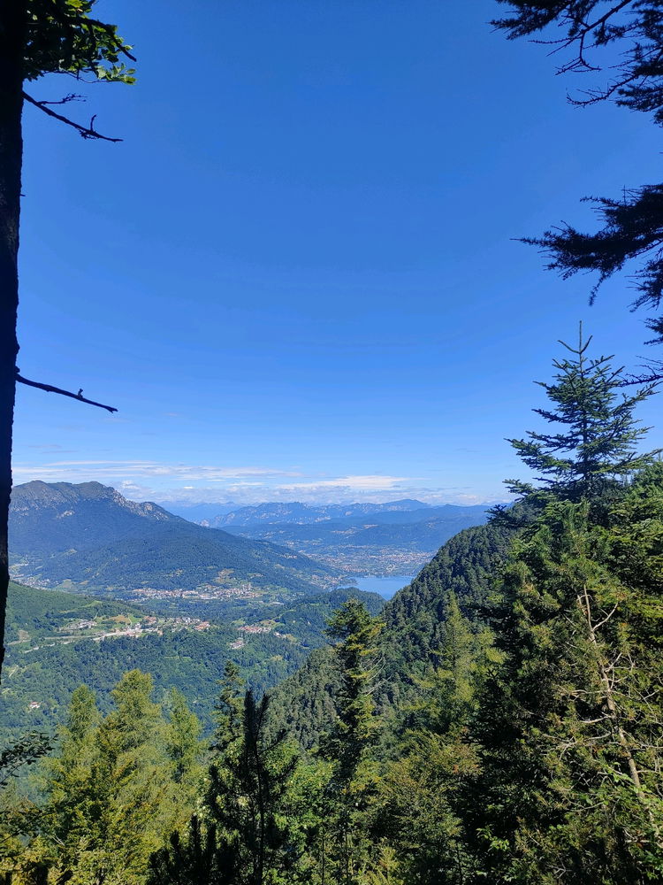 Trentino