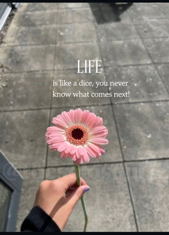 Life