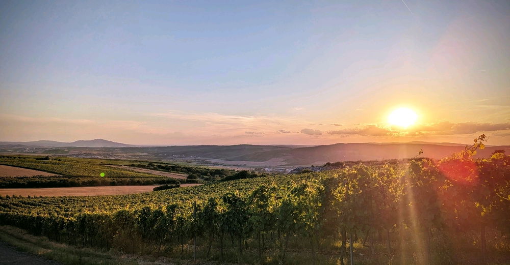 Rozhledna Kobylí vrch