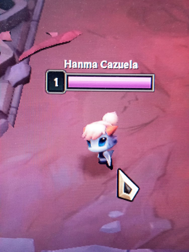 Domingo de tft