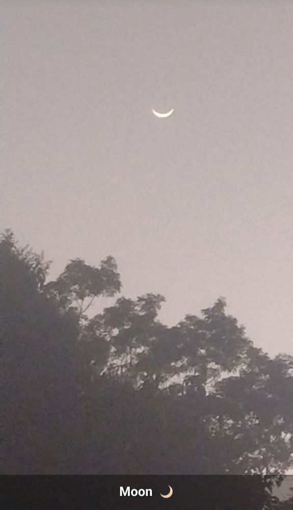 Moon 🌙❤️