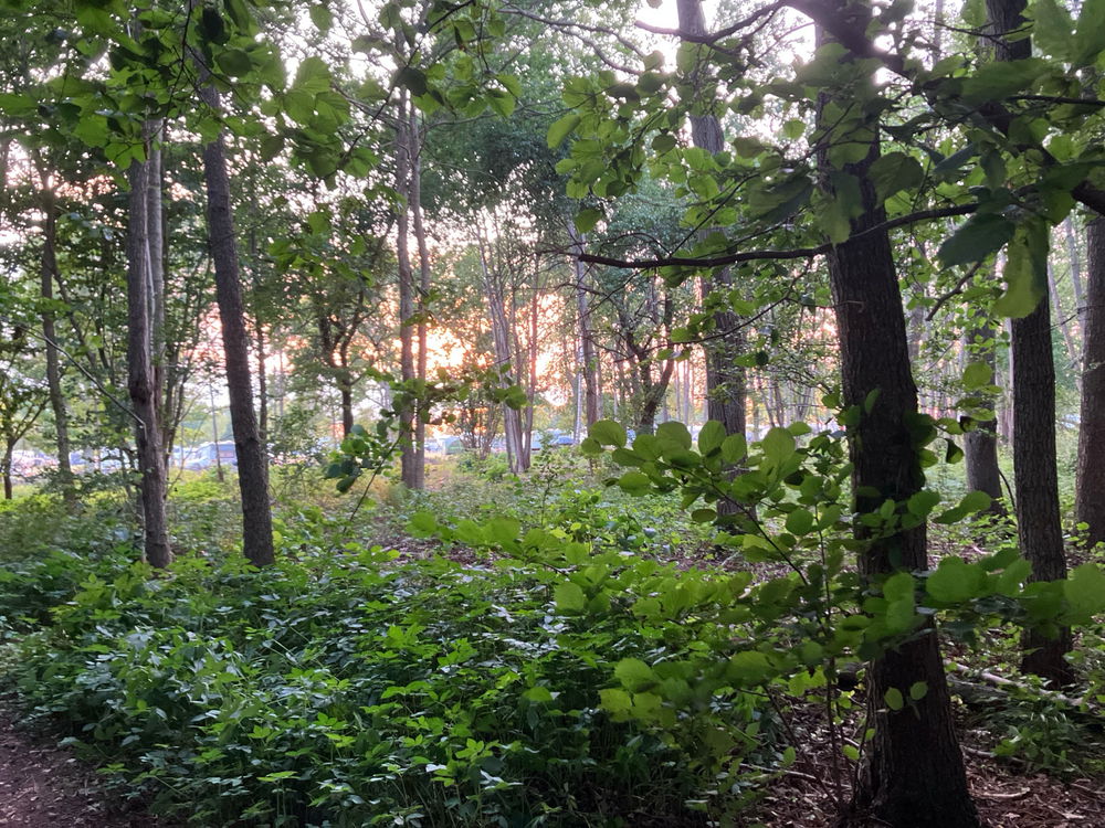 Visiting Öland