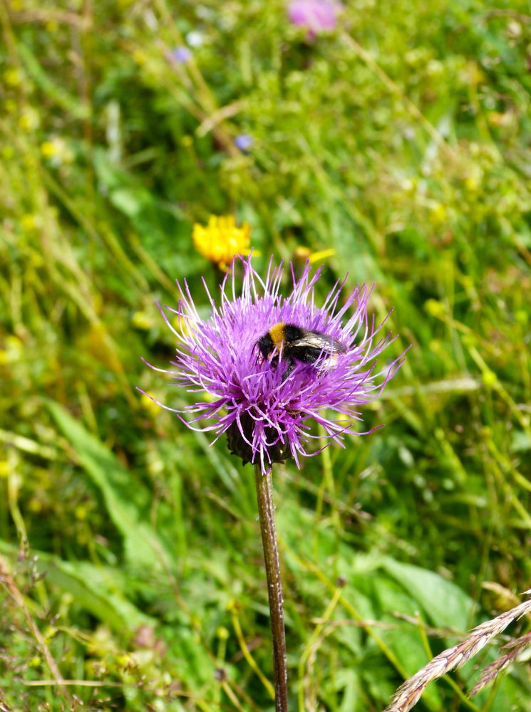 Wanderung in Oberwiesenthal