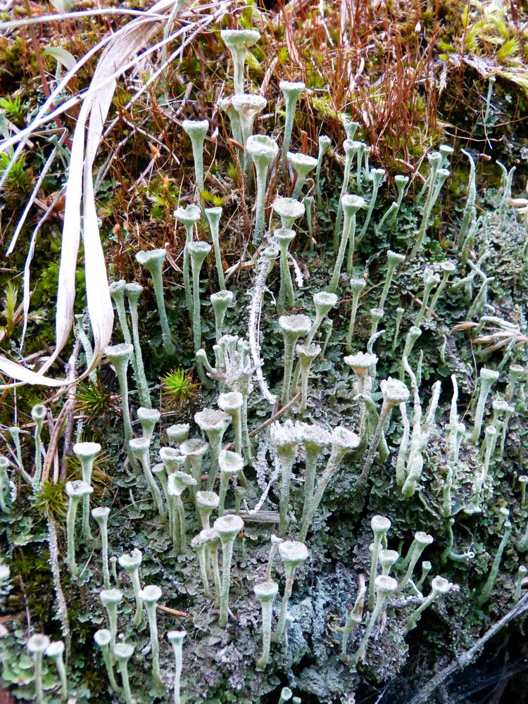Wanderung in Oberwiesenthal