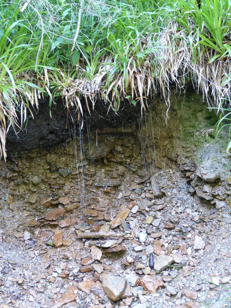Wanderung in Oberwiesenthal