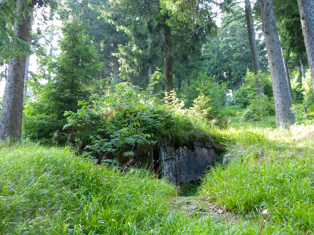 Wanderung in Oberwiesenthal