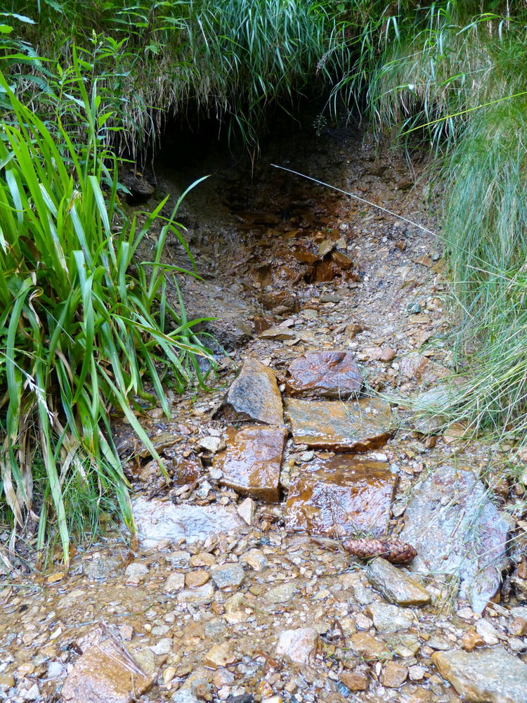 Wanderung in Oberwiesenthal