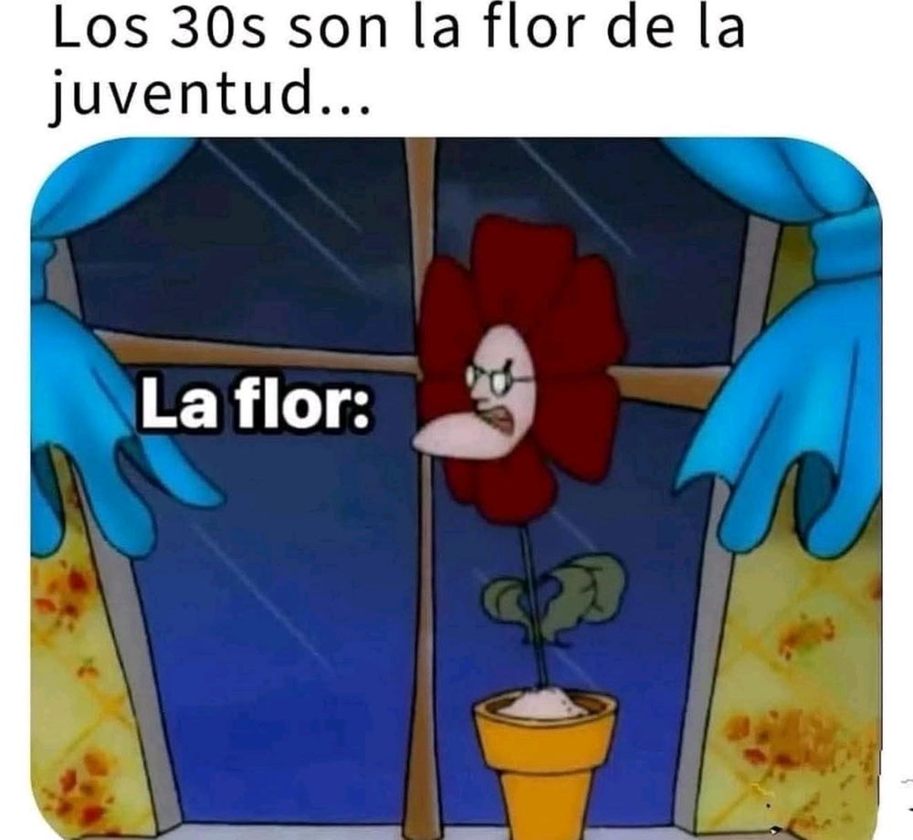 😵‍💫😵‍💫😵‍💫😵‍💫