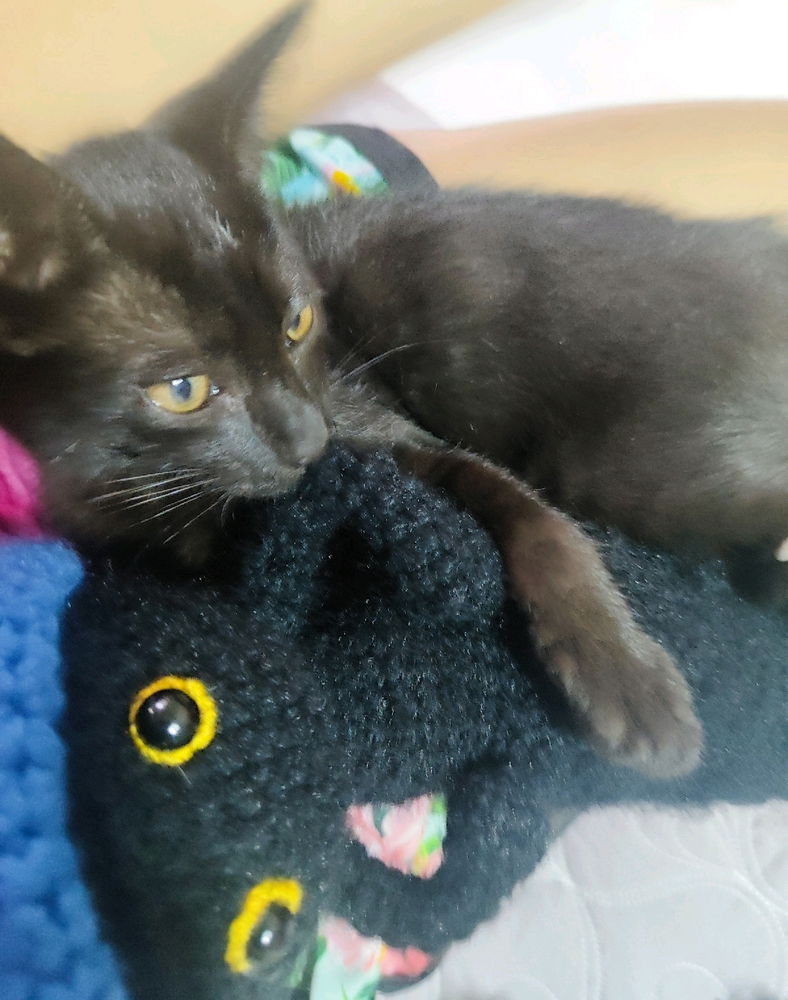 Que linda se ve con su replica en peluche.