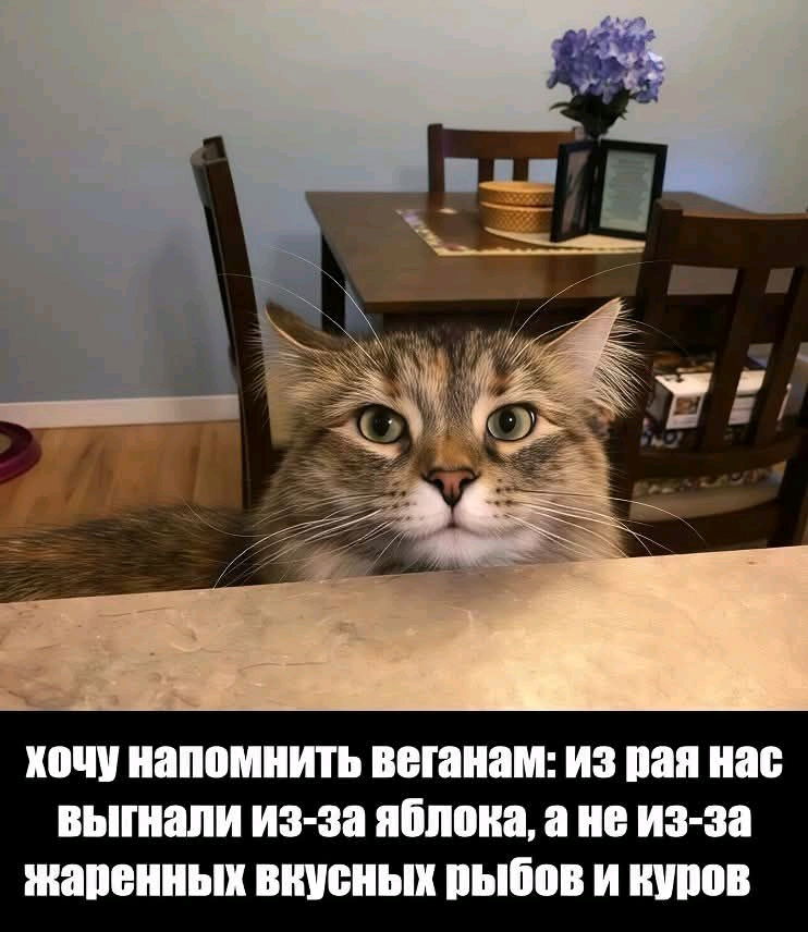 ☝️