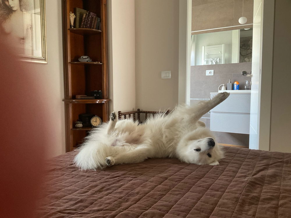 Stretching
