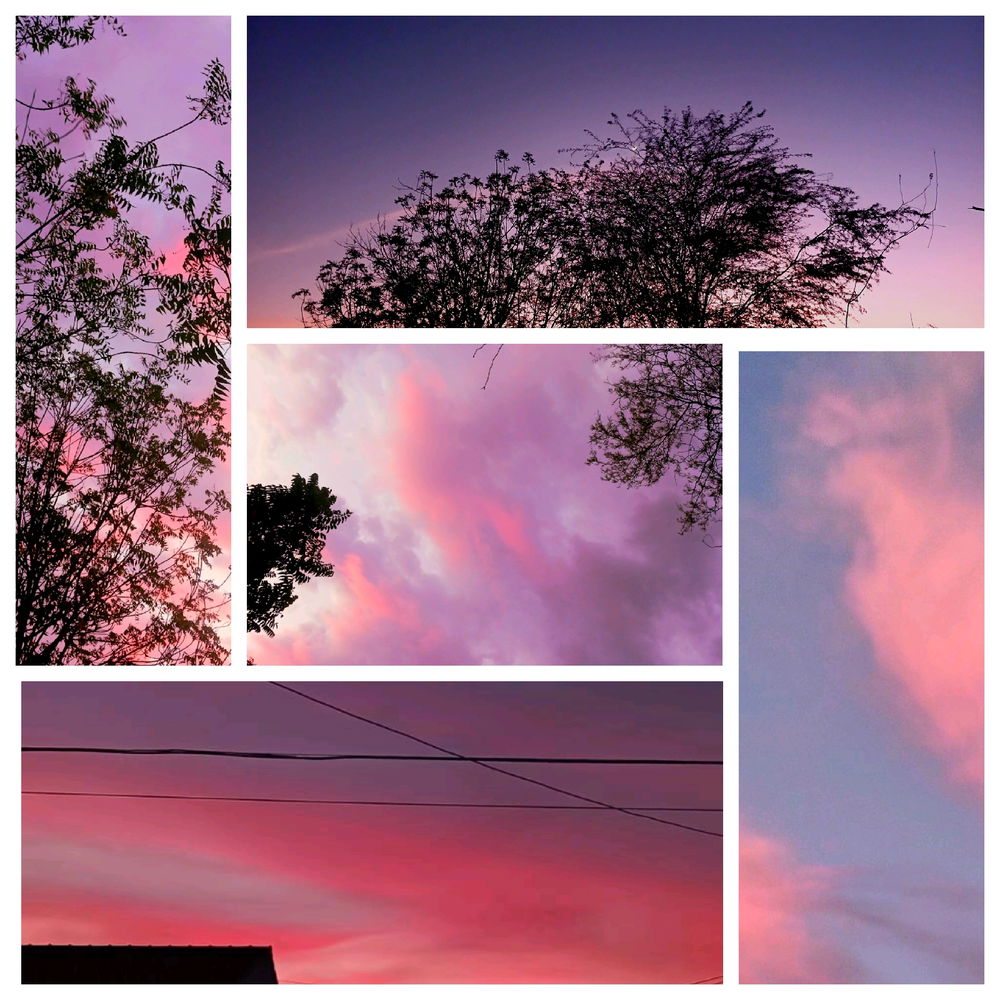 Bellos colores 😻