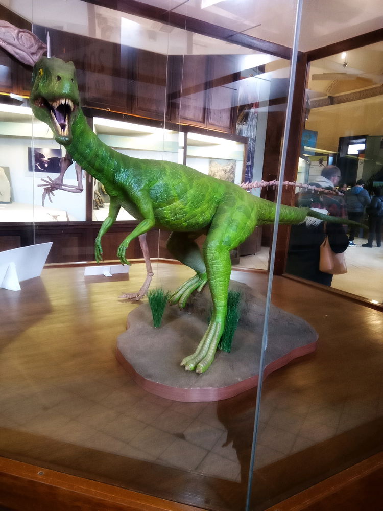 💚🦕🦖