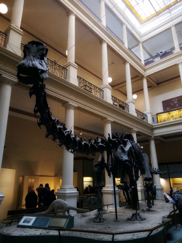 💚🦕🦖