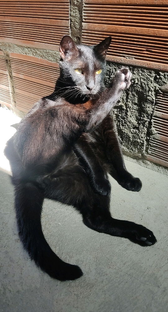 Cada quien se sienta como quiere...