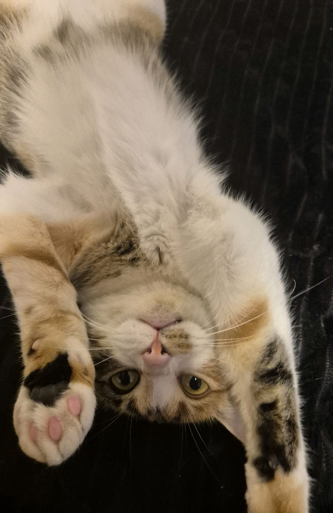 Mi niña