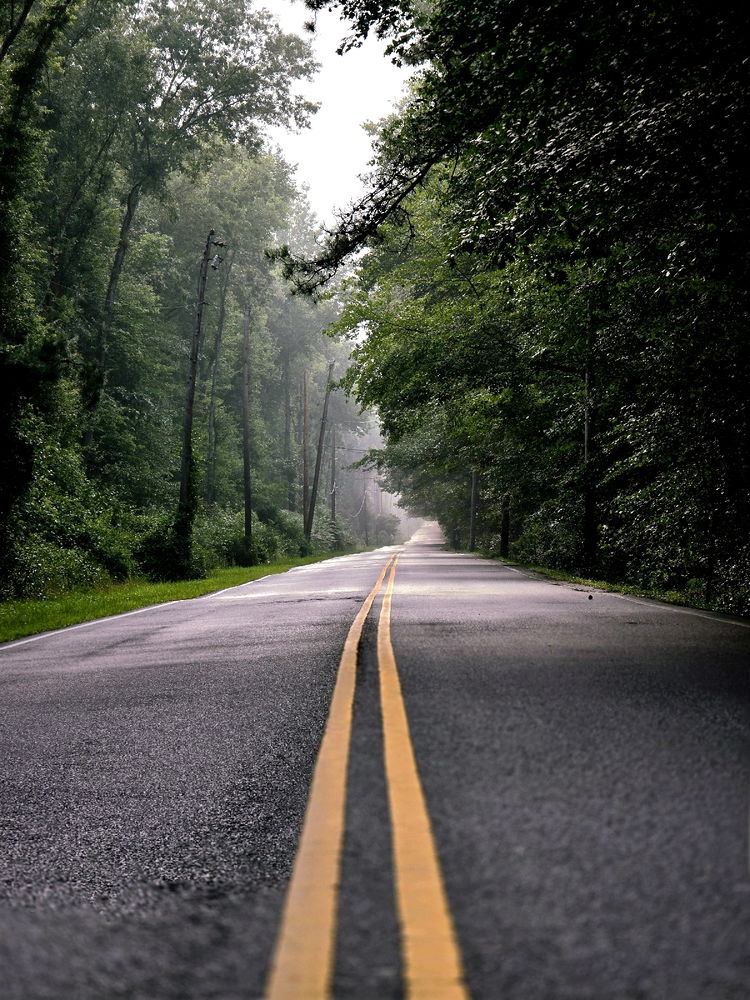 Coming or going?